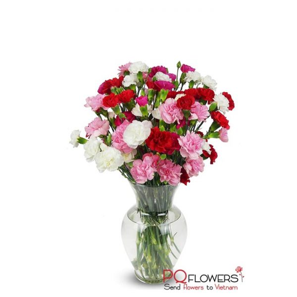 20 beautiful carnations Vase - 7586 -flowers to vietnam-300321