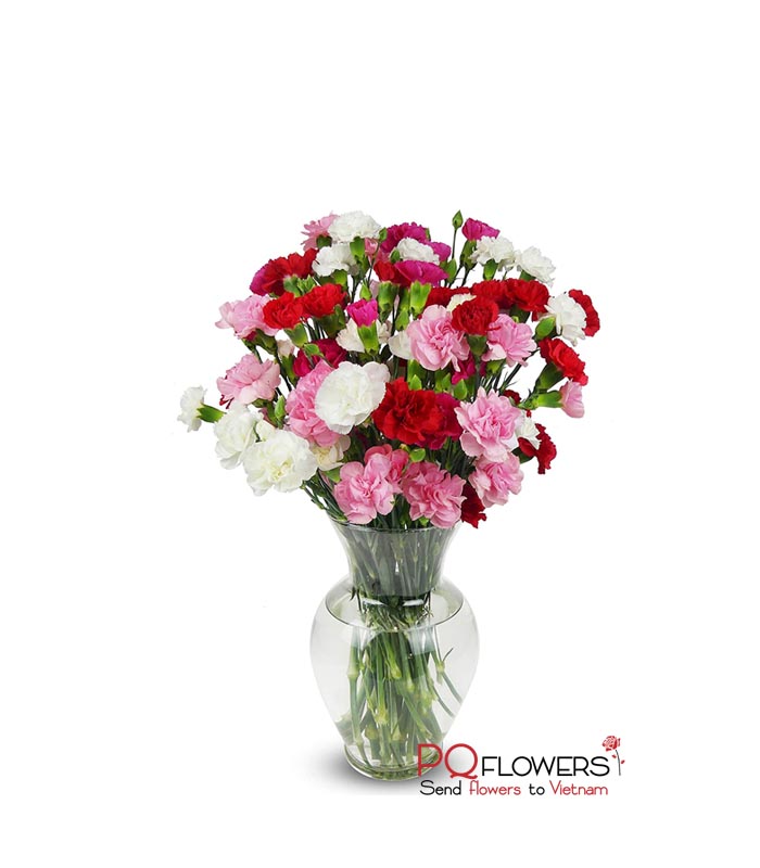 20 beautiful carnations Vase - 7586 -flowers to vietnam-300321