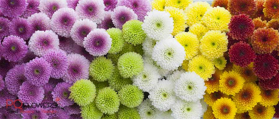 calimero-flowers-send-flowers-to-vietnam-290321-00