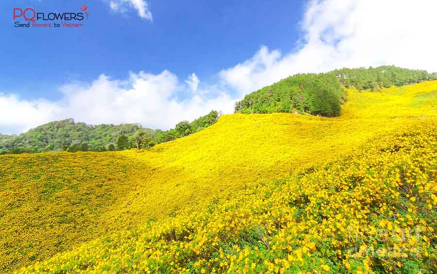mùa hoa ở việt nam-290321-05