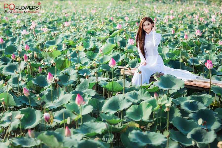 lotus-flower-lotus-fields-vietnam-050421-02.jpg