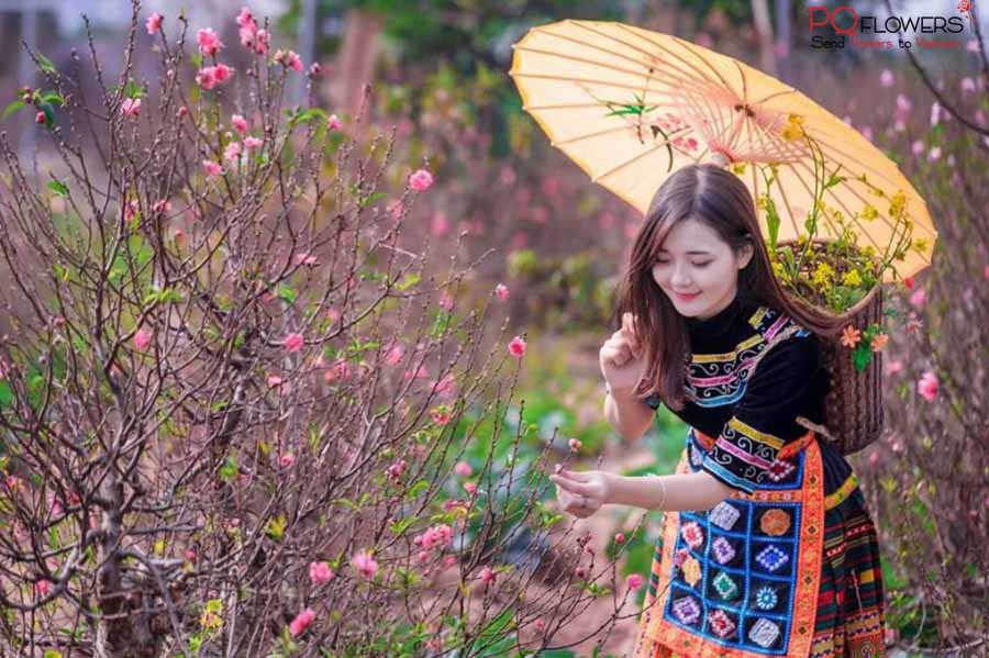 peach blossoms - hoa dao-vietnamese new year-150421-03